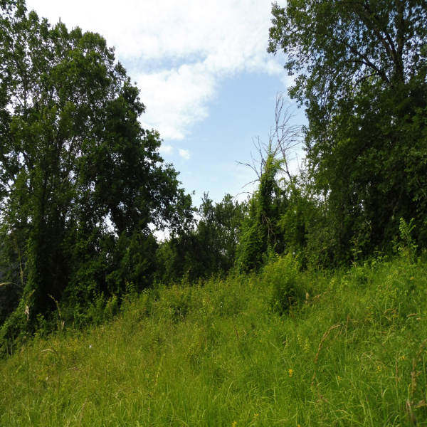 Offres de vente Terrain Brive-la-Gaillarde 19100